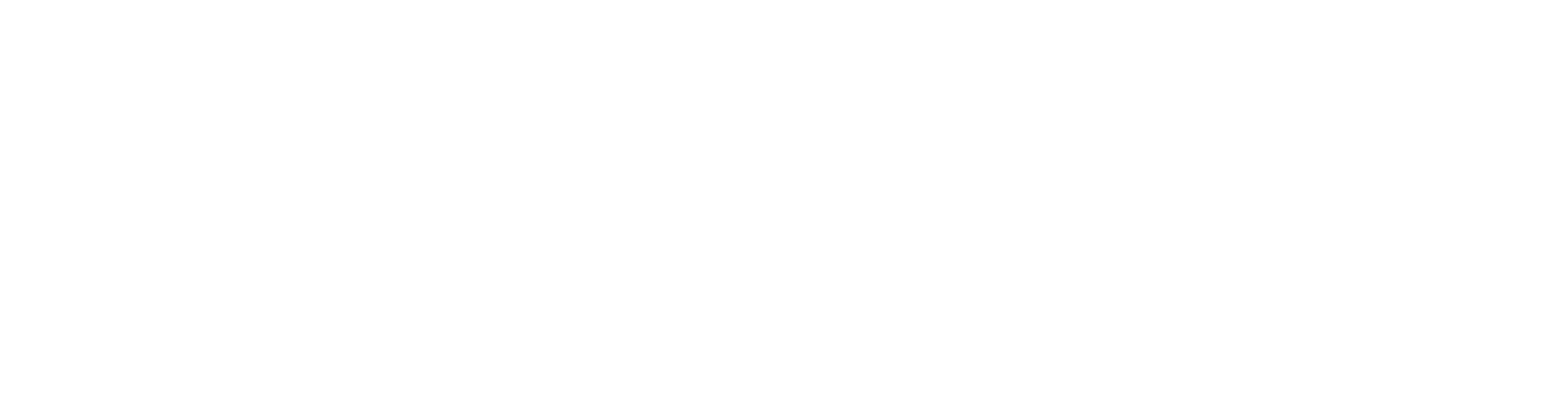 Mitglied im 1894-Netzwerk — Karlsruher SC